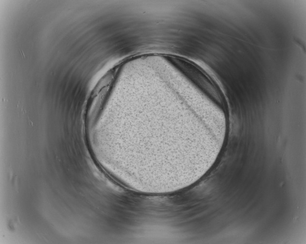 X0000102781341200809081019