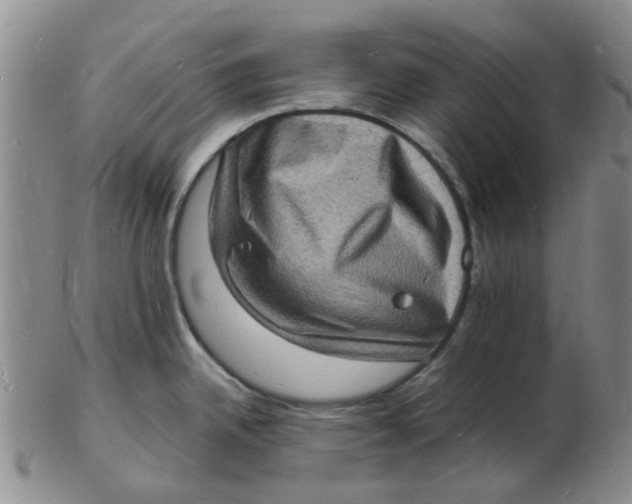 X0000102781342200809081019