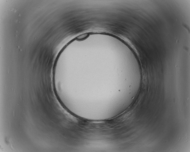 X0000102781343200809081019