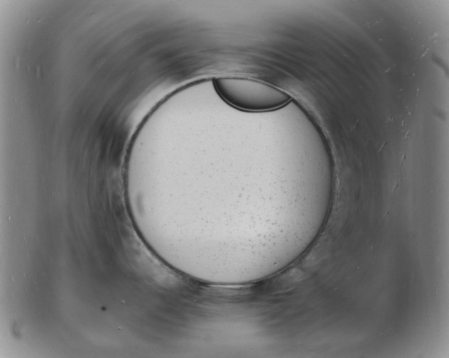 X0000102781344200809081019