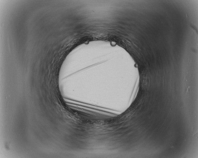 X0000102781345200809081018