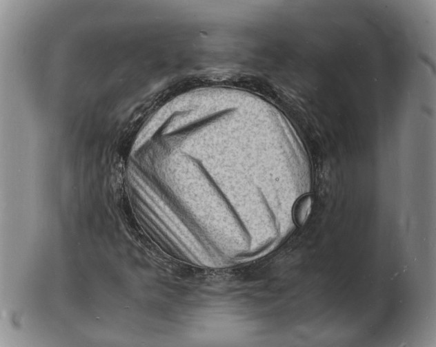 X0000102781349200809081018