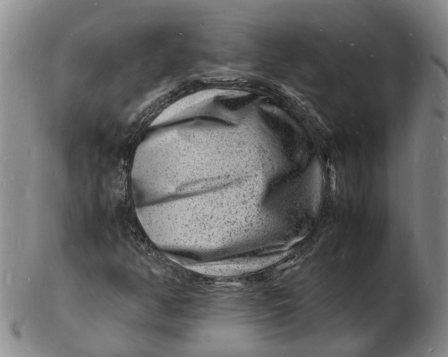 X0000102781350200809081018