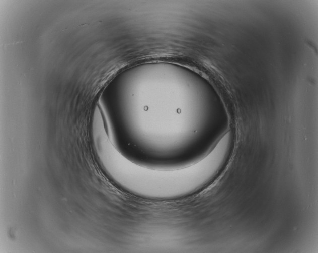 X0000102781353200809081018