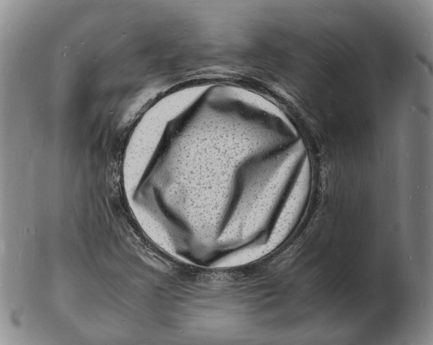 X0000102781355200809081018