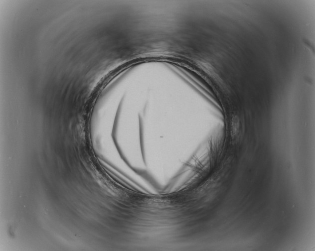 X0000102781356200809081018