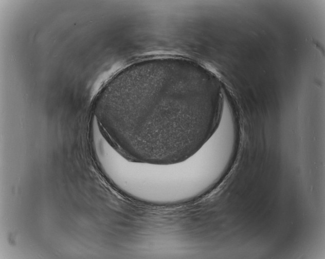 X0000102781357200809081018