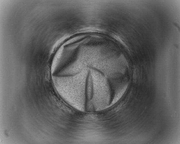 X0000102781358200809081018