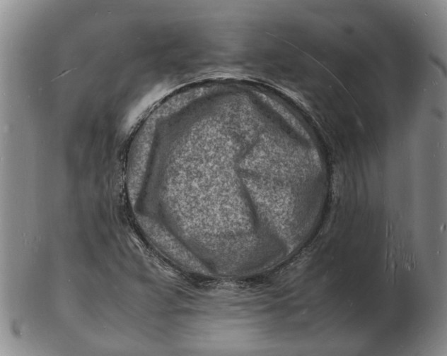 X0000102781359200809081018