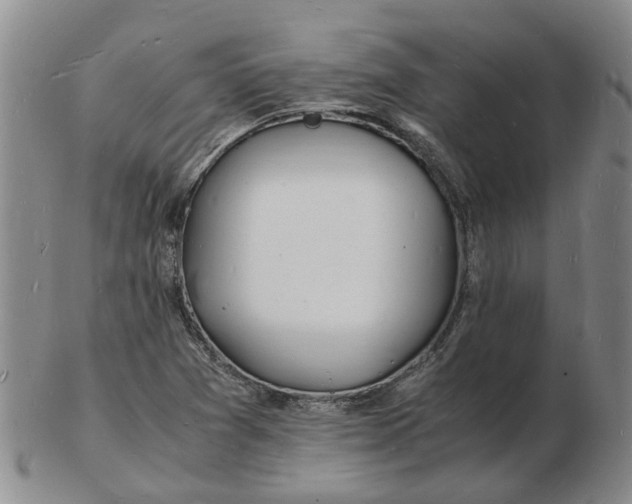 X0000102781361200809081018