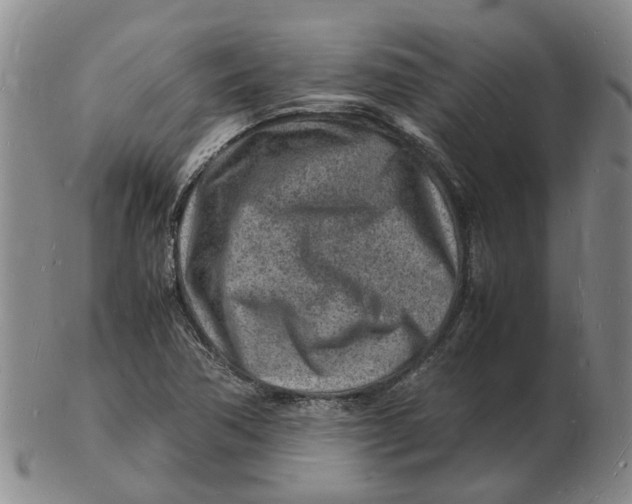 X0000102781362200809081018