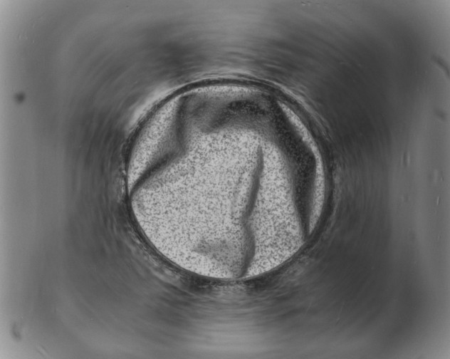 X0000102781363200809081018