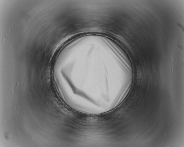 X0000102781364200809081018