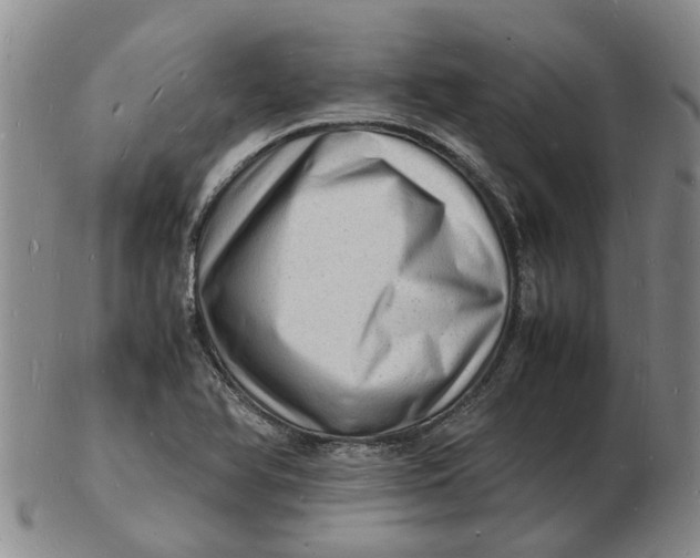 X0000102781366200809081018