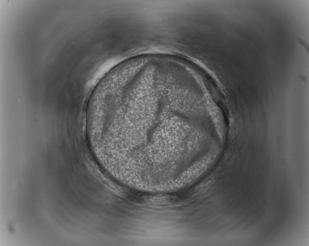 X0000102781367200809081018