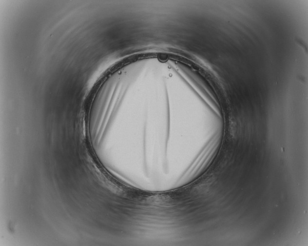 X0000102781368200809081018