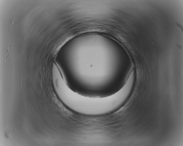 X0000102781369200809081018