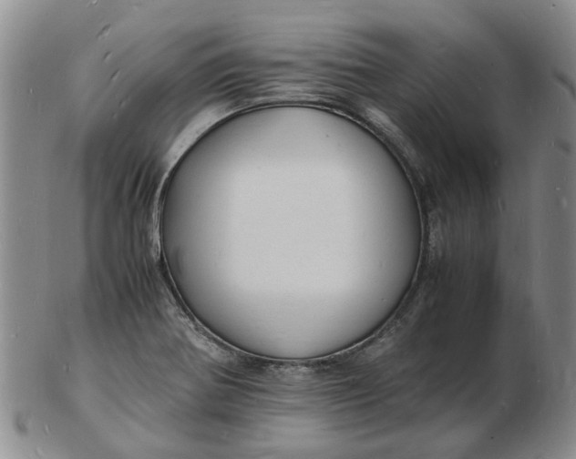 X0000102781370200809081018