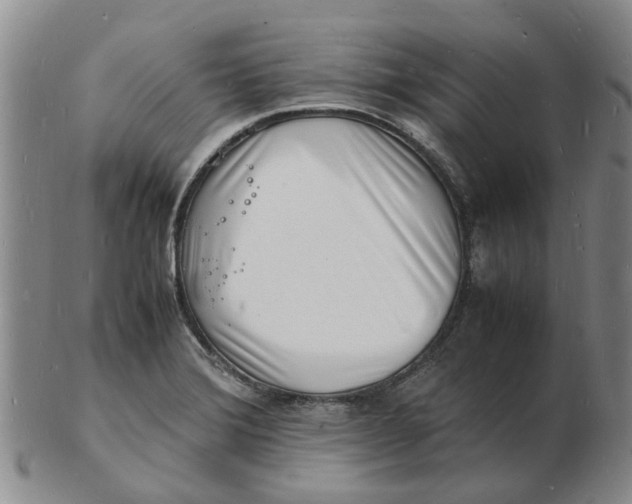 X0000102781372200809081018