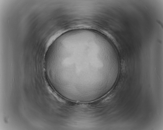 X0000102781373200809081018