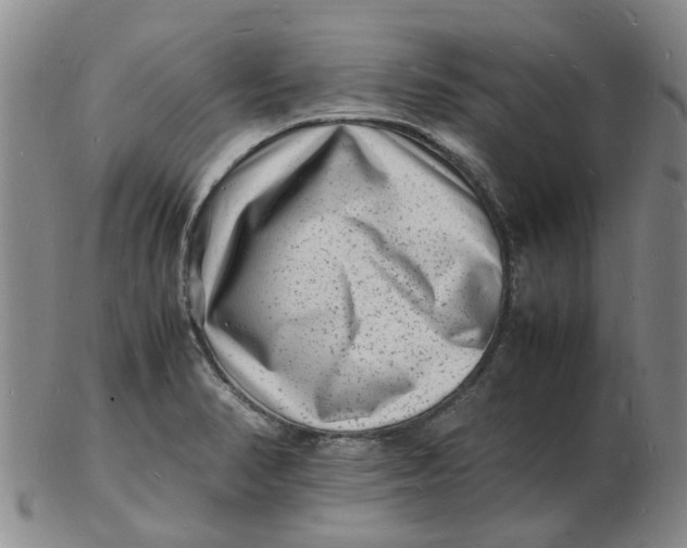 X0000102781374200809081018