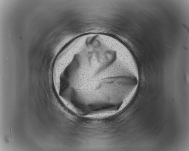 X0000102781375200809081018