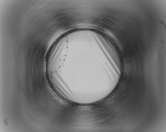 X0000102781376200809081018