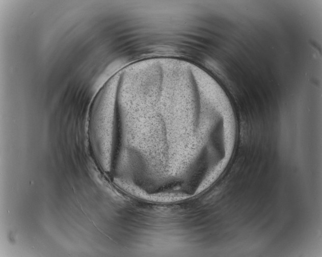 X0000102781378200809081018