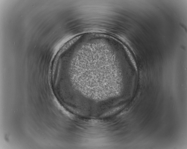 X0000102781379200809081018