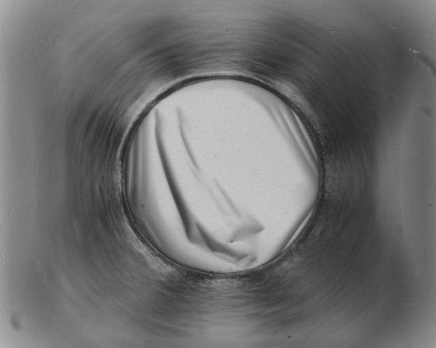 X0000102781380200809081018