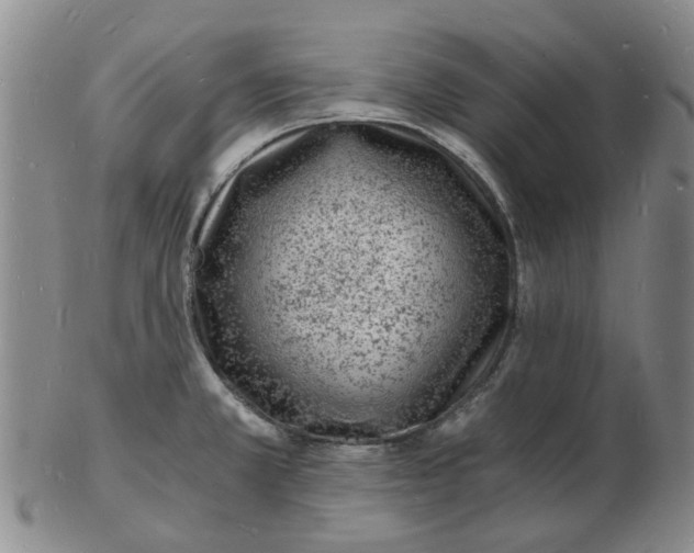 X0000102781381200809081018