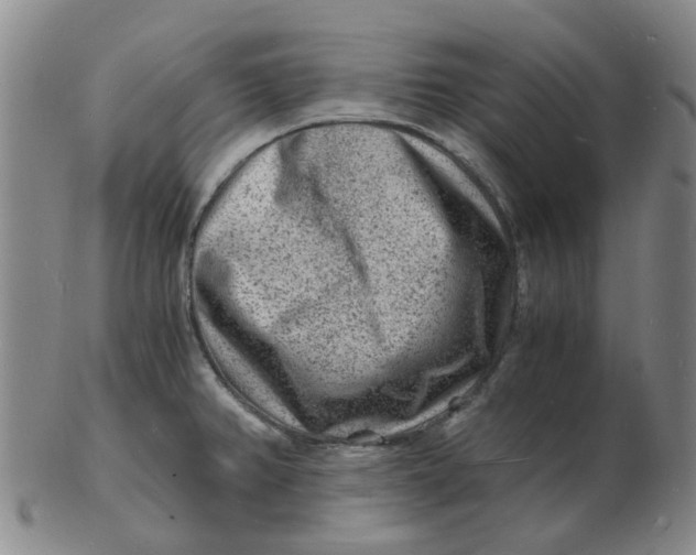 X0000102781382200809081018