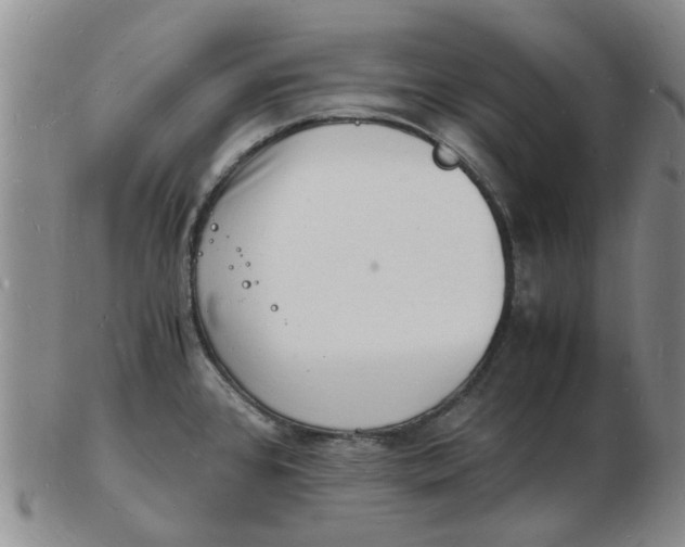 X0000102781384200809081018