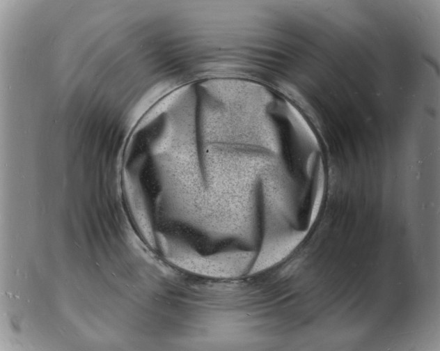 X0000102781386200809081018