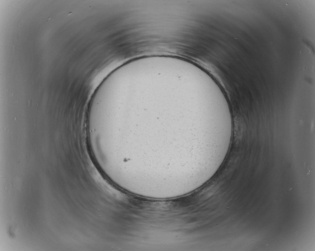 X0000102781387200809081018