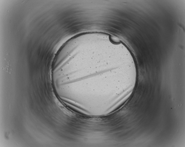 X0000102781388200809081018