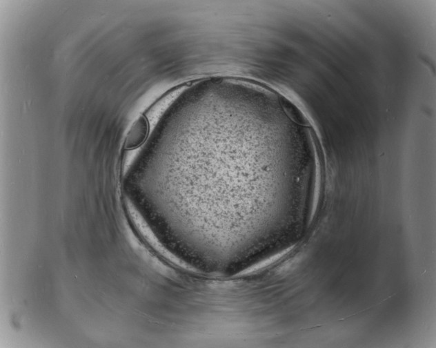 X0000102781389200809081018