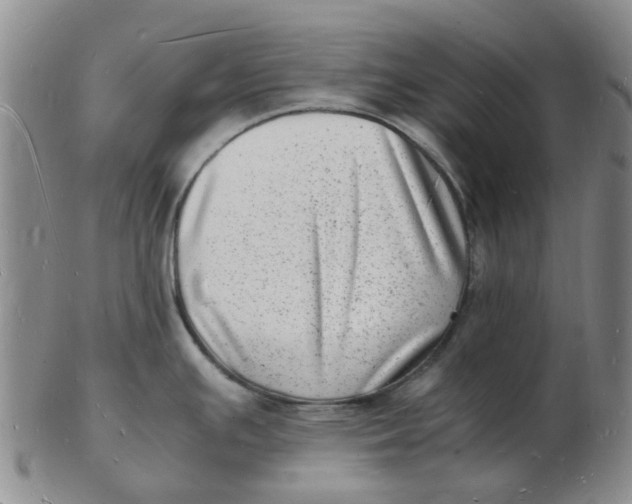 X0000102781391200809081018