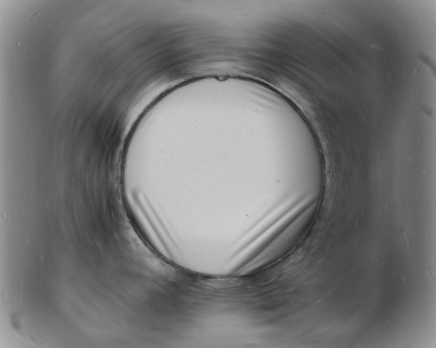 X0000102781392200809081018