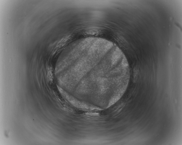 X0000102781394200809081017