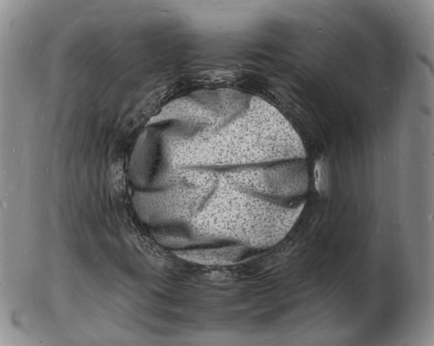 X0000102781395200809081017