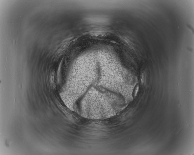 X0000102781396200809081017