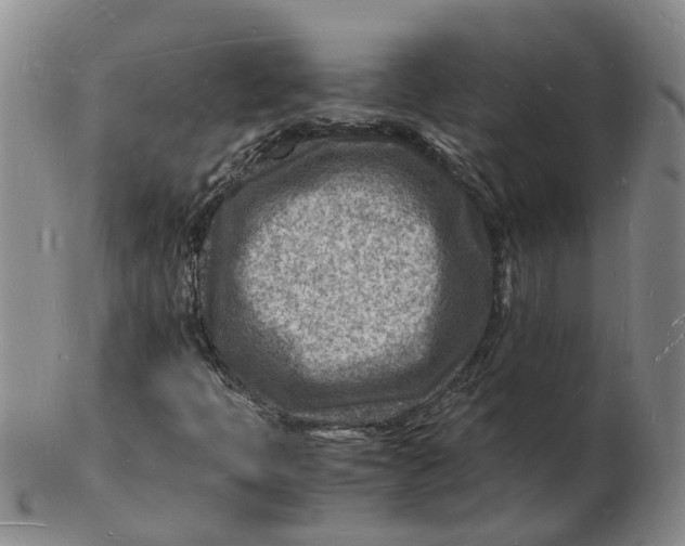 X0000102781397200809081017