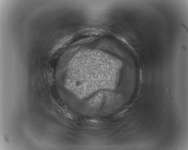 X0000102781399200809081017