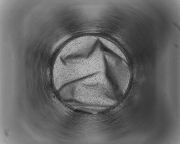 X0000102781402200809081017