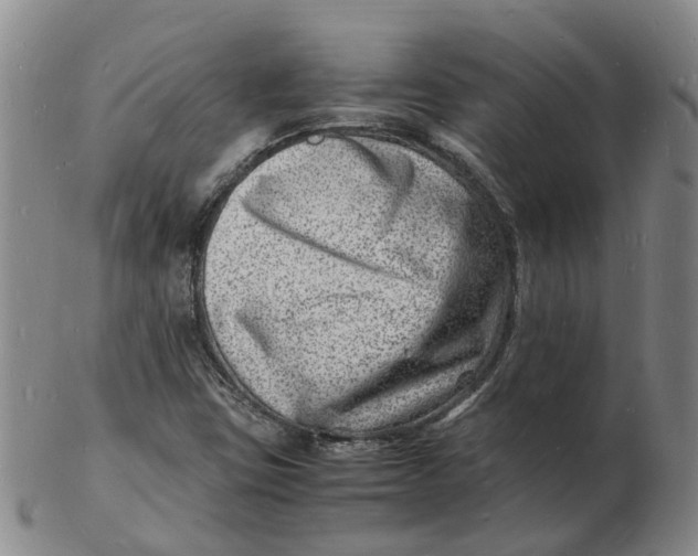 X0000102781403200809081017