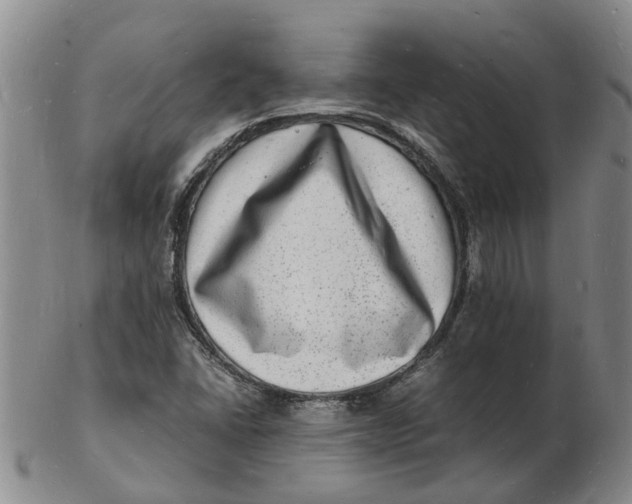 X0000102781406200809081017