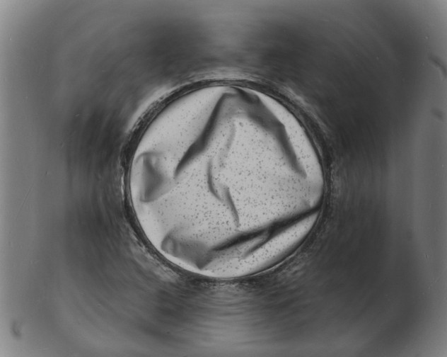 X0000102781408200809081017