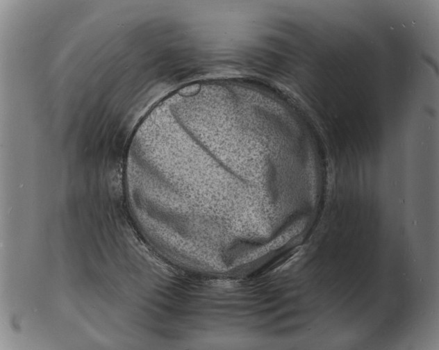 X0000102781409200809081017