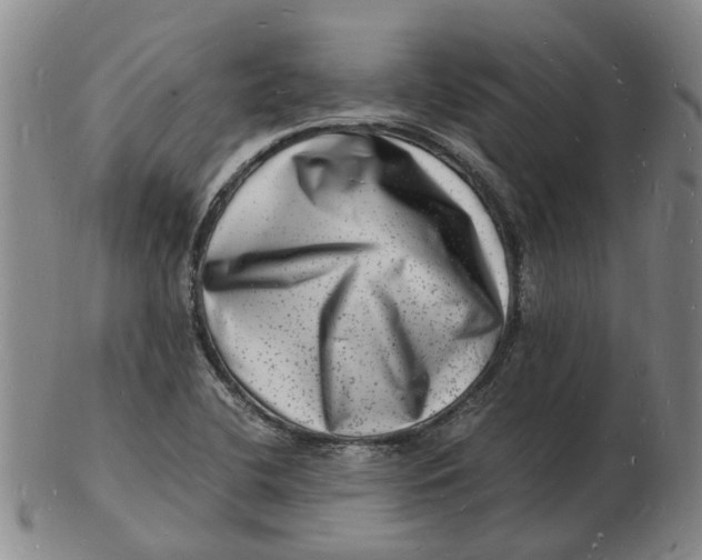 X0000102781412200809081017